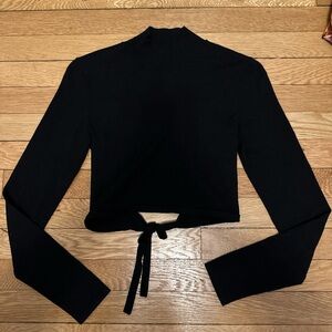 aritzia longsleeve turtleneck top